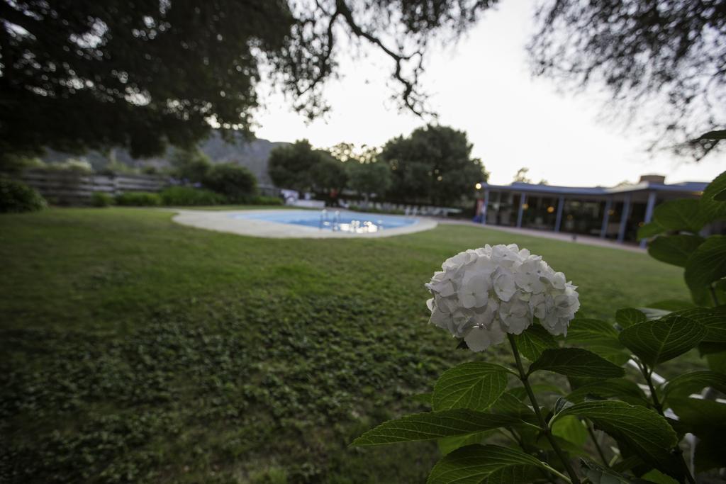 The Blue Sky Lodge Carmel Valley Eksteriør bilde