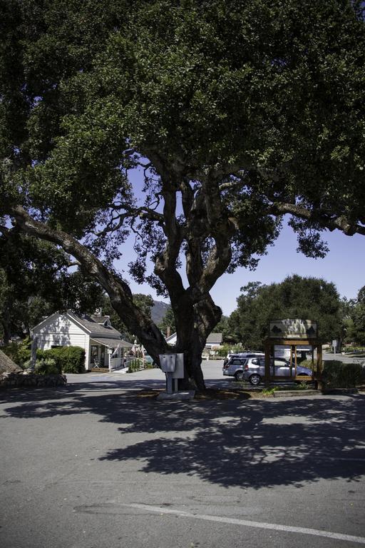 The Blue Sky Lodge Carmel Valley Eksteriør bilde
